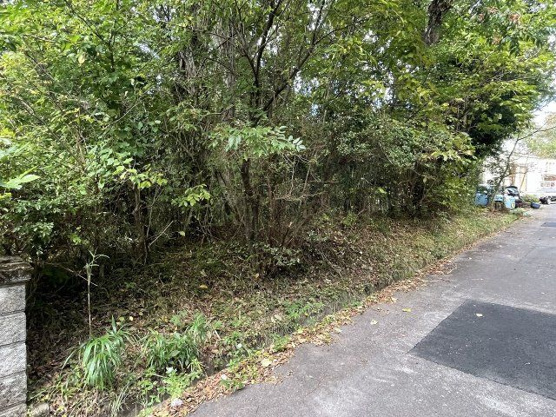 【周辺】 | 中伊豆ニューライフヴィレッジ　売地