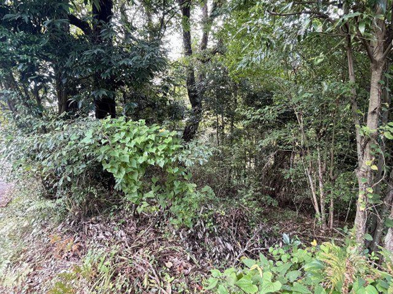 【外観】 | 中伊豆ニューライフヴィレッジ　売地