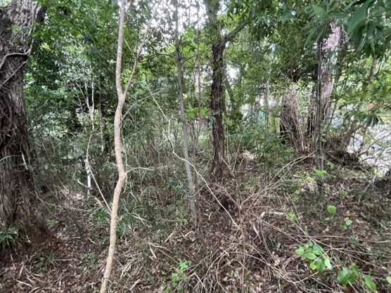 【外観】 | 中伊豆ニューライフヴィレッジ　売地