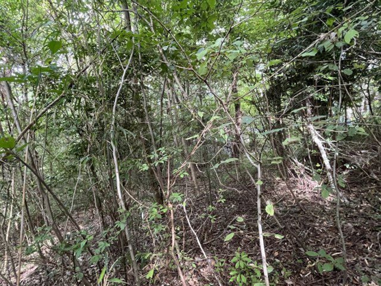 【外観】 | 中伊豆ニューライフヴィレッジ　売地