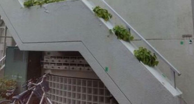 【エントランス】 | TDビル