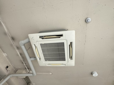 【その他】 | パレド・モネ