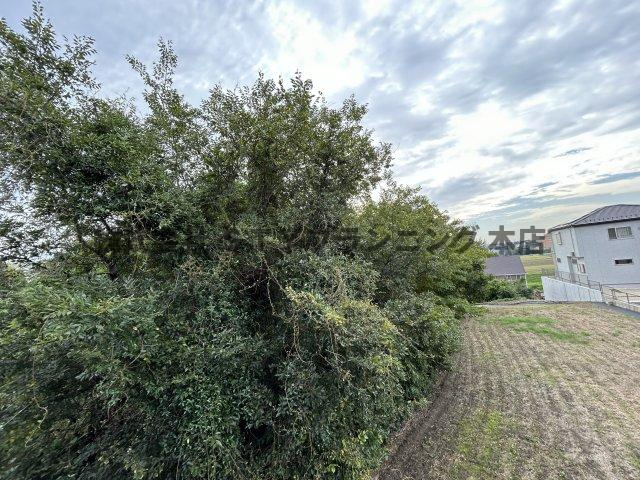 仲介手数料０円！アンプルール リーブル SoleadoⅡの展望