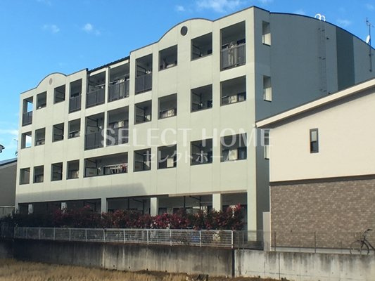  | クリスタルウッズ