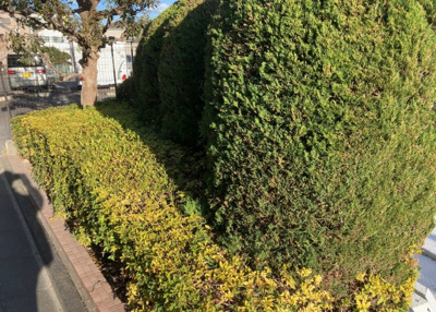 【庭】 | グリーンビレッジひばりが丘 | 物件によっては、入居者が個人的に使用できる専用庭がついているものもあります。また、住宅の中にある土間の部分を庭と呼ぶこともあります。庭の用途は住む人によって変わり、それによってデザインもさまざまです。