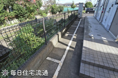 【展望】 | ステラ