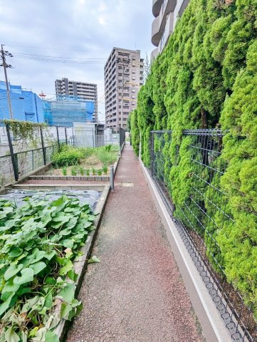【その他】 | サンハウス尾張横須賀 | 専用庭から外へ出た通路・菜園