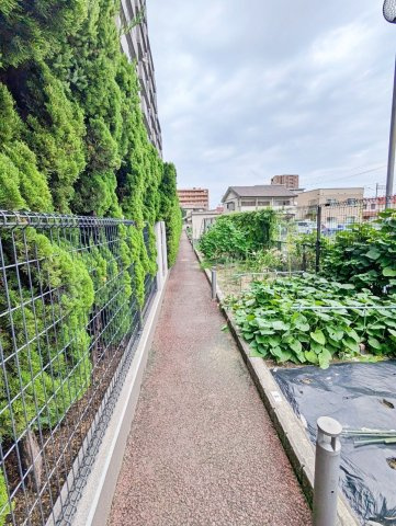 【その他】 | サンハウス尾張横須賀 | 専用庭から外へ出た通路・菜園