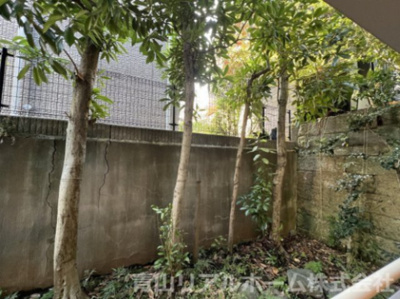 【展望】 | プレール南青山