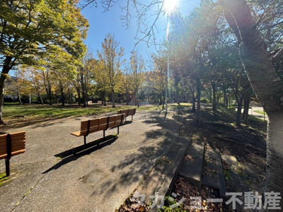 【周辺】 | ウッドパークちはら台駅前P棟