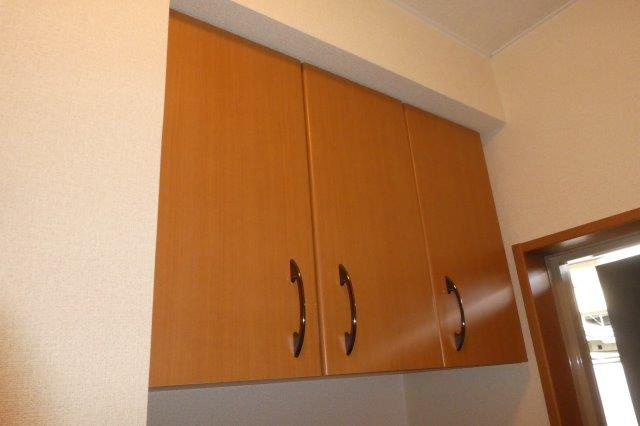 ルミナスガーデンの玄関|シューズボックス上