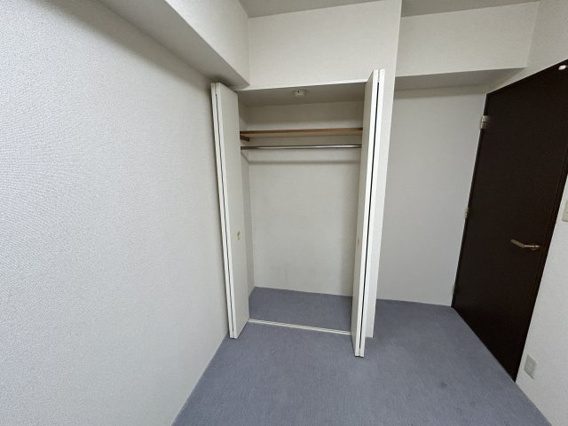 コスモ小川町(610) の収納|約4.8帖洋室