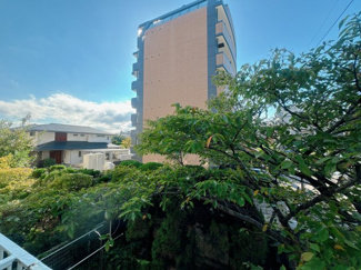 【展望】 | 落ち着く緑の木々が目に優しくしみてきます。住まい選びに眺めは大事。
