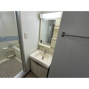 リブレ・M・鳥神の洗面所