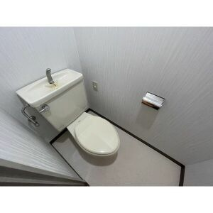 リブレ・M・鳥神のトイレ