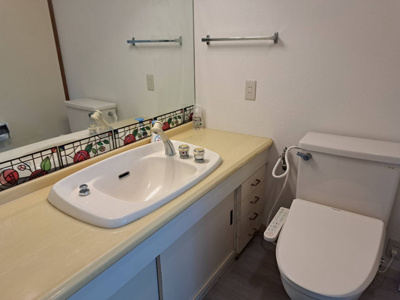 【トイレ】 | 山武郡芝山町高谷　中古戸建