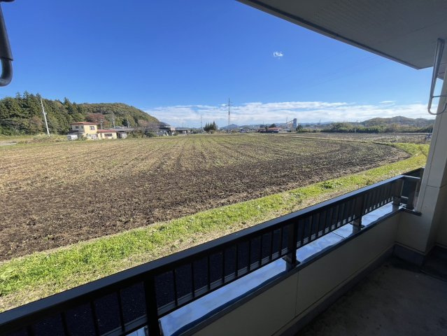 ネオラグナスNⅠの展望