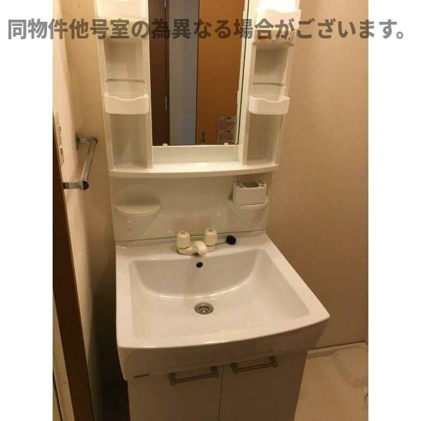 ビルセーヌM&Kの洗面所