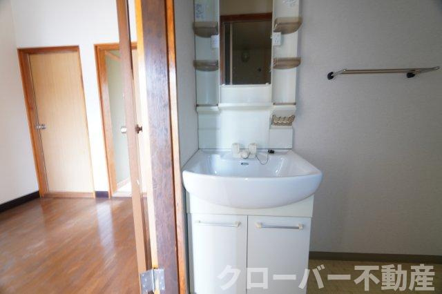 メゾン小路の洗面所