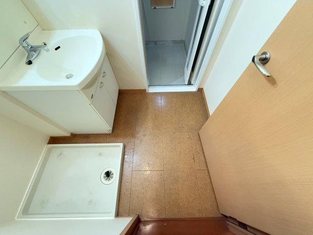 ビーンズ南川添Ⅱの洗面所