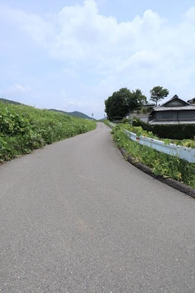 岐阜市日野北3丁目のその他|北側道路