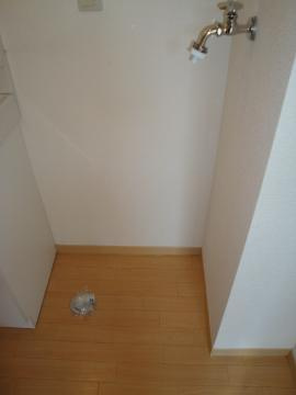 フェニックスＳのその他|洗濯機置場