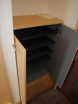 フェニックスＳのその他|シューズボックス