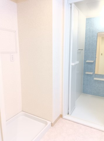 パーク・ハイム芦屋翠ヶ丘20番地B棟の洗面所|ゆったりとスペースのある洗面所