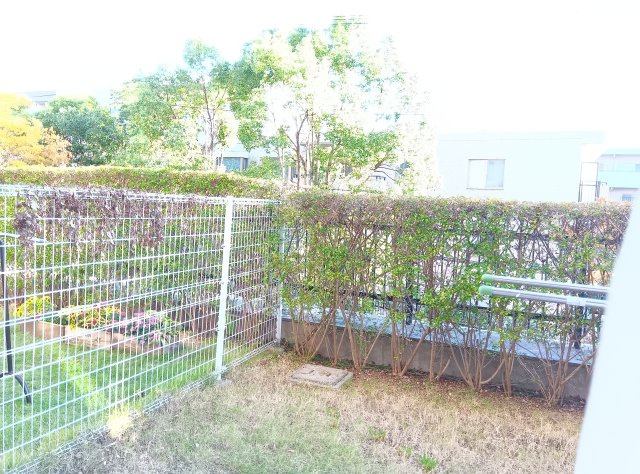 パーク・ハイム芦屋翠ヶ丘20番地B棟の展望|お部屋からの景色です
