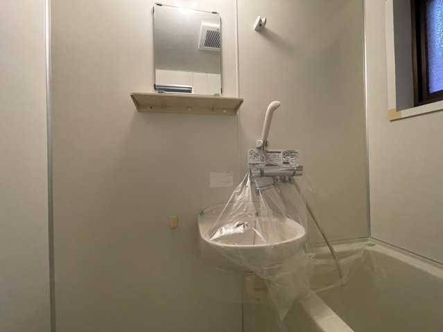 ウスイハイツBの洗面所