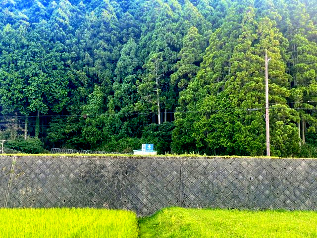 高島市城山台二丁目83坪土地の外観