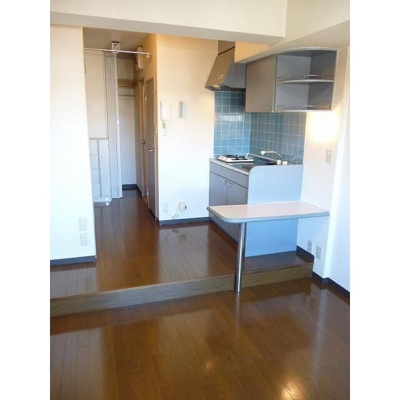 【その他】 | ヴェルドミール国立