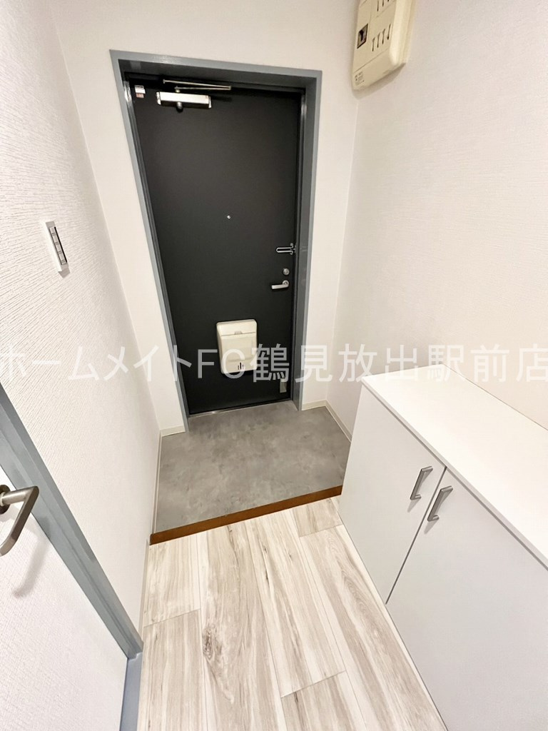 東大阪市稲田新町１丁目の賃貸マンションの玄関
