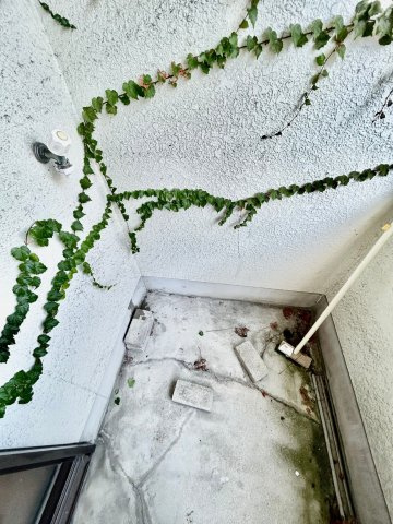 豊中市服部南町1丁目戸建の設備|洗濯機置けます