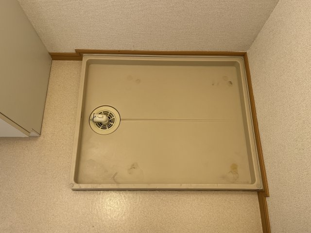 クローバーライフのその他