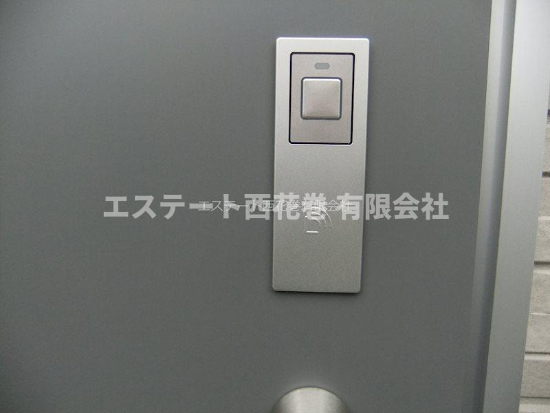 プリモⅡ|カザスキー