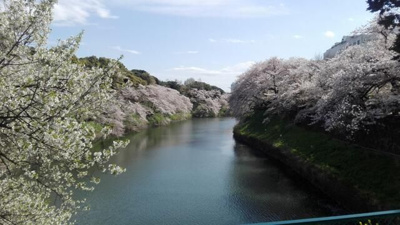 【周辺】 | 九段ビル