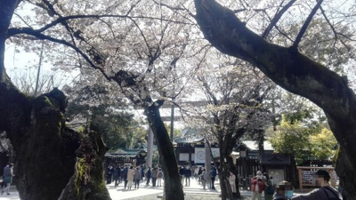 【周辺】 | 九段ビル