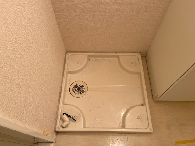 アンベリール都倉のその他