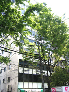 白王ビルの外観