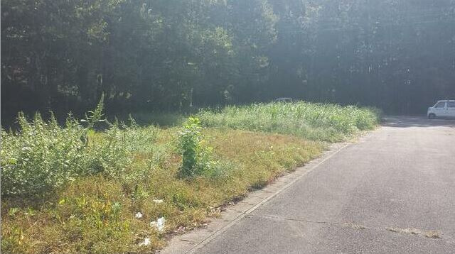 売地　那珂市横堀1936-10の外観