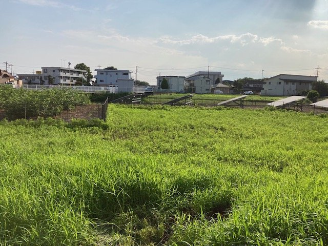 西谷貝116坪の外観