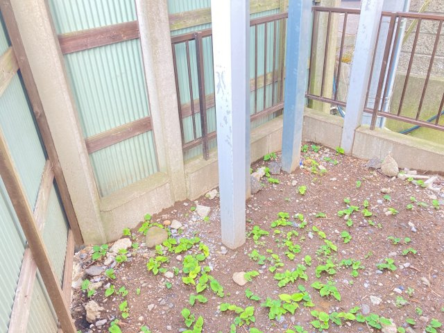 筑西市横島62坪の周辺