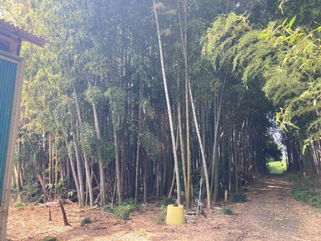 つくば市沼崎土地の周辺