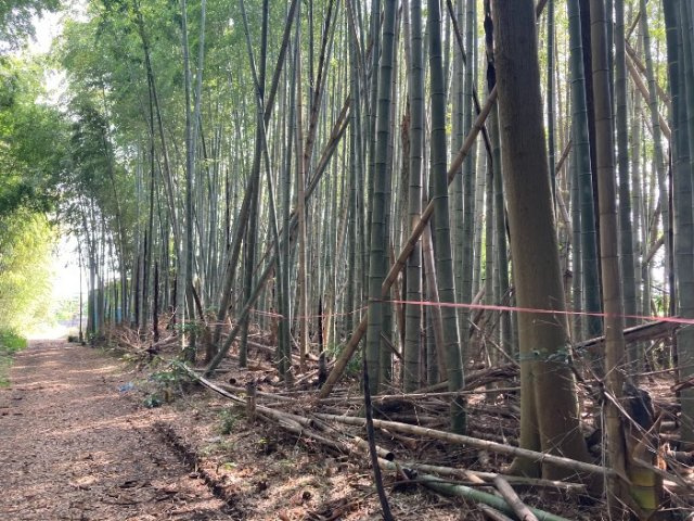 つくば市沼崎土地の周辺