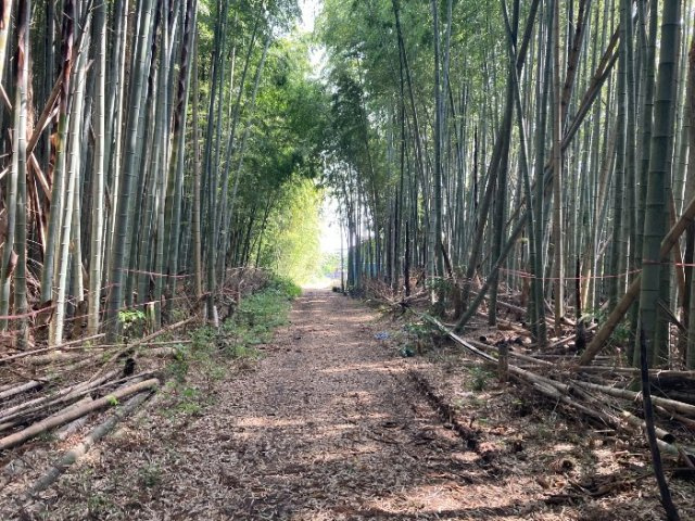 つくば市沼崎土地の周辺