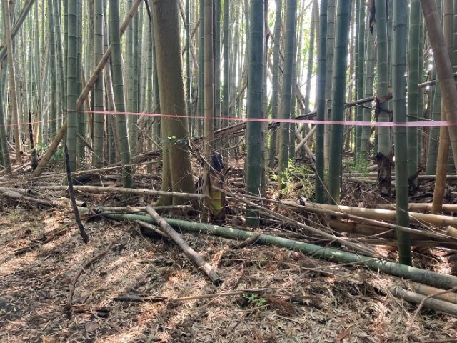 つくば市沼崎土地の周辺