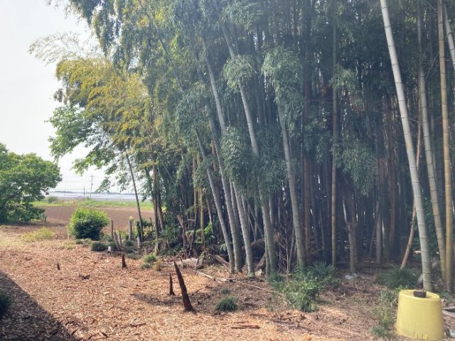 つくば市沼崎土地の周辺