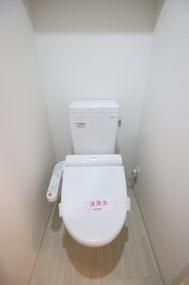 2025/1/11　撮影