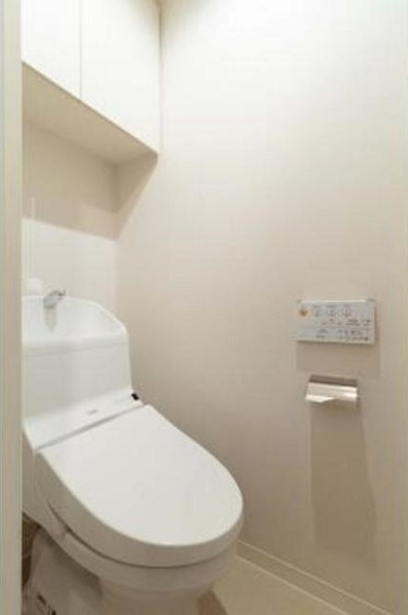 江東区豊洲５丁目の賃貸マンションのその他|トイレ